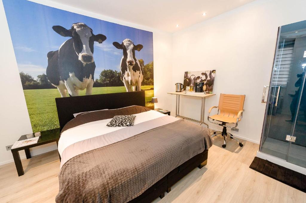 B & B M 3 room 4